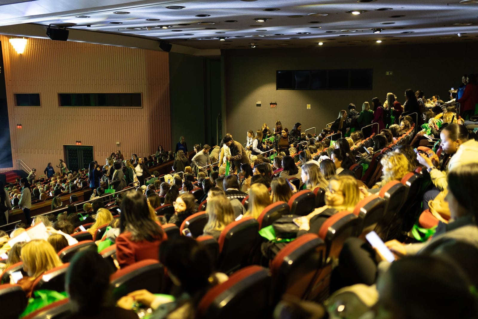 Plateia acompanhando a palestra